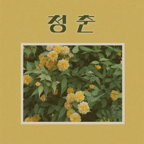 원호 - 청춘